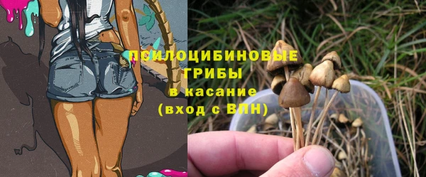 MDMA Новодвинск