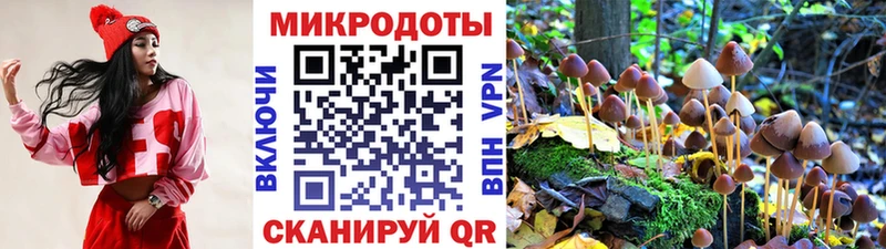 Псилоцибиновые грибы Psilocybine cubensis  Южно-Сахалинск 